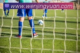 伯恩茅斯关注三名意甲中卫引发转会热议